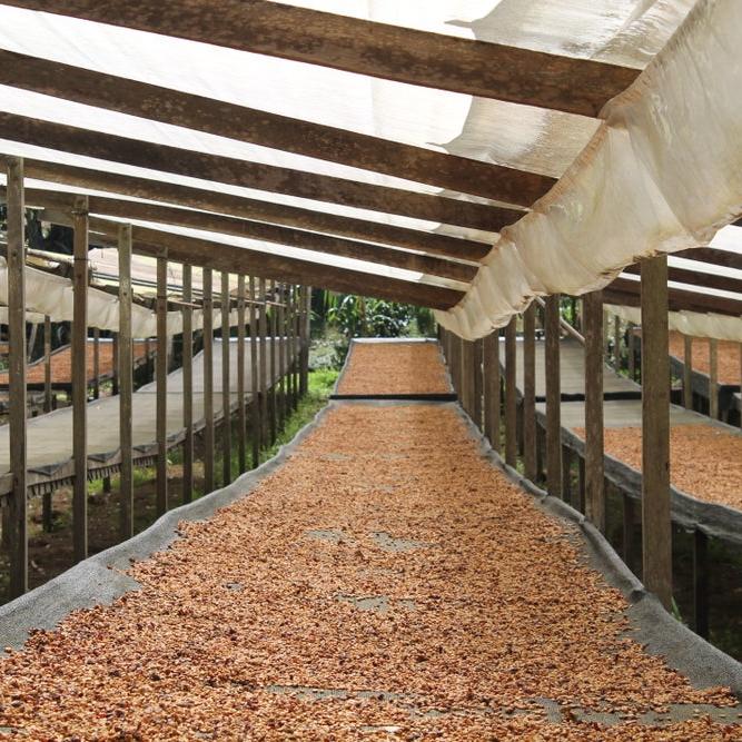Panama Agricola Obata