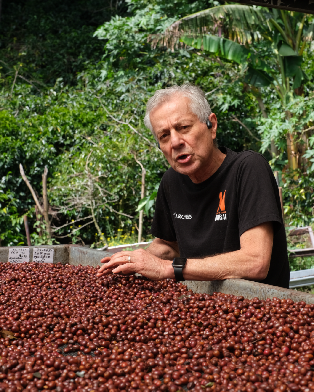 Panama Geisha Lamastus ASD Natural