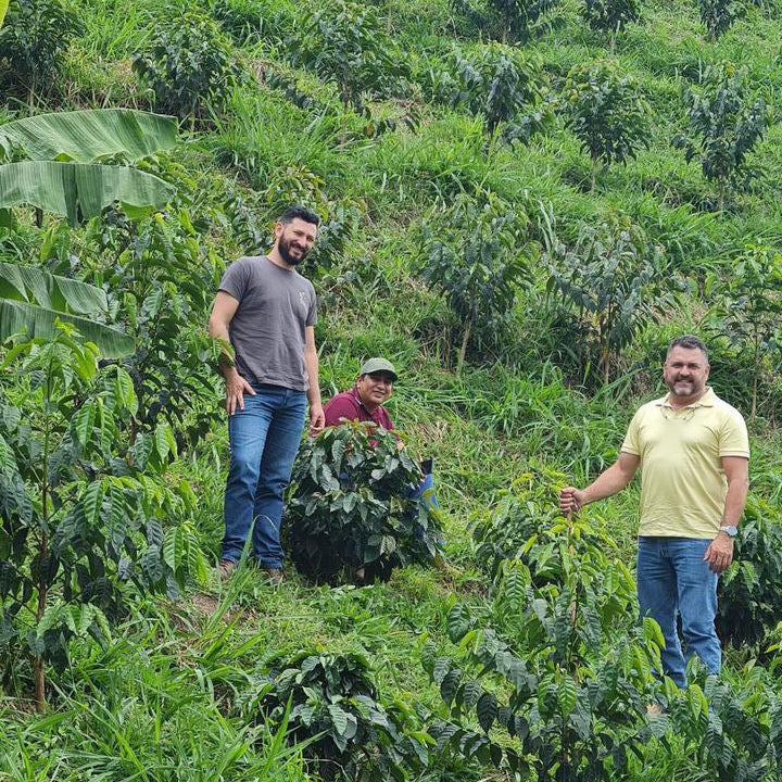 Colombia Finca Milan Maypop