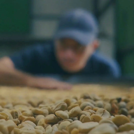 Colombia Granja El Paraiso 92