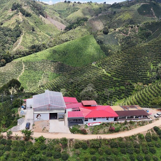 Colombia CGLE Pink Bourbon