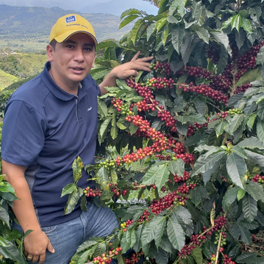 Colombia Finca El Eden