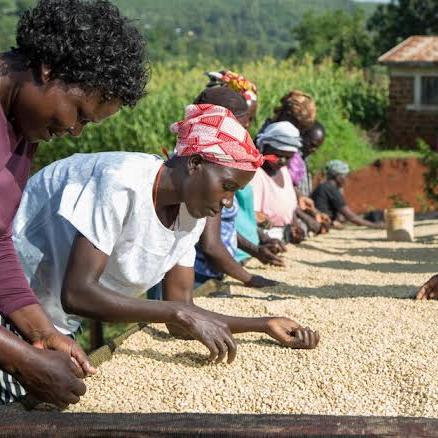 Kenya Mbogo AB